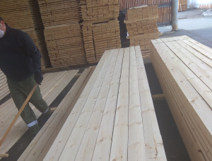 50 mm x 150 mm x 6000 mm KD R/S  Scots Pine Lumber