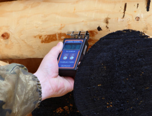 Holzmasten Sibirische Kiefer 160 mm x 9.5 m