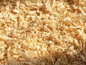 European larch Wood shavings 2 mm x 20 mm