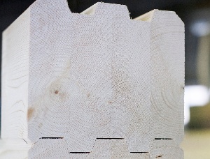 Gerade Brettschichtholz Fichte-Kiefer-Tanne (SPF)  x 21 mm x