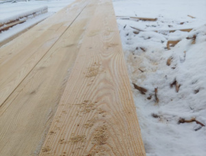 32 mm x 150 mm x 6000 mm GR R/S  Siberian Larch Lumber