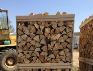 Silver Birch Unseasoned Firewood 100 mm x 250 mm