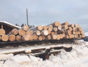 Siberian Pine Sawlog 30 mm x 6 m