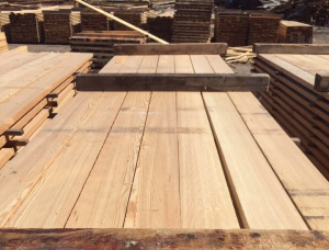 25 mm x 150 mm x 6000 mm KD S4S  Siberian Larch Lumber