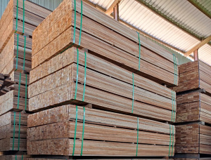 19 mm x 50 mm x 1220 mm AD S4S  Basralocus (Angelique) Lumber