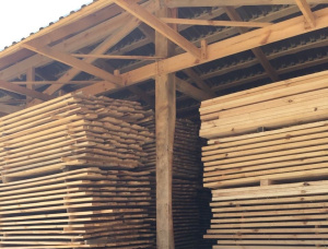 25 mm x 100 mm x 4000 mm KD S4S  Pine Lumber