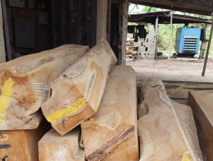 Teak Square Logs 100 mm x 150 mm x 6 m