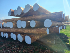Swiss pine Sawlog 550 mm x 6 m