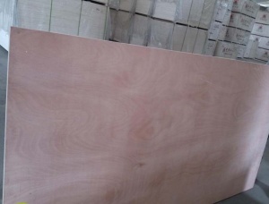 Poplar Plywood 5 mm x 50 mm x 1220 mm