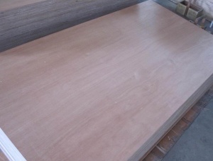 Poplar Plywood 5 mm x 50 mm x 1220 mm