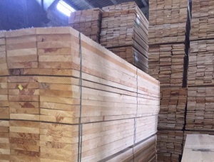 Radiata Pine Sawlog 300 mm x 5.8 m