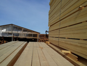 50 mm x 150 mm x 6000 mm KD R/S  Spruce-Pine (S-P) Lumber