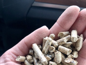 Pino siberiano Pellets de madera 6 mm x