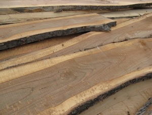 54 mm x 300 mm x 4000 mm Elm Flitch