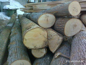 Stehendes Holz Espe/Zitterpappel und Espe/Zitterpappel 100 m<sup>3</sup>