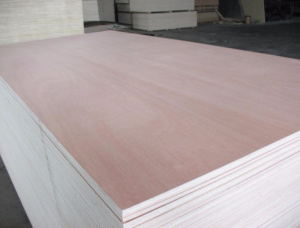 NS White Ash Film faced plywood 2440 mm x 2135 mm x 25 mm