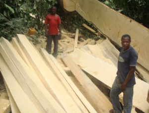 100 mm x 250 mm x 5000 mm AD S4S  African Pencil Cedar Lumber