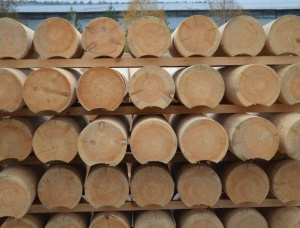 Swiss pine Rounded beam 180 mm x 4 m