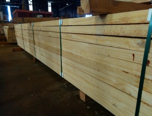 Palettenholz Taeda Pine 25 mm x 150 mm x 3000 mm