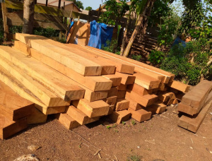 5 in. x 12 in. x 108 ft.  建築材 缅茄（苏）木 R/S GR