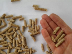 Oak Wood pellets 6 mm x 4800 mm