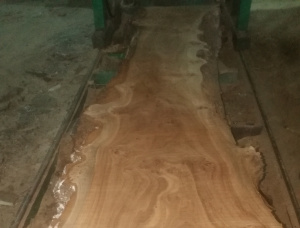 50 mm x 150 mm x 3000 mm Elm Flitch