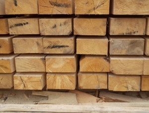 100 mm x 200 mm x 6000 mm AD  Siberian Pine Beam