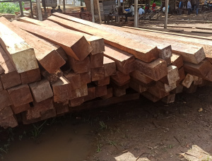 10 mm x 200 mm x 4000 mm AD S4S  Iroko (Mvuli, Kambala, Semli, Rokko) Lumber