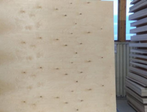 Sanded 0 Exterior Plywood 1525 mm x 1525 mm x 3 mm