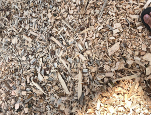 Scots Pine Wood chips