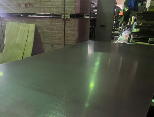 واو أوكالبتوس خشب رقائقي مغطى بالفيلم 3000 mm x 1500 mm x 9 mm
