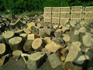 Oak Kiln Dried Firewood 180 mm x 330 mm