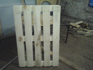 Linden Pallet 1200 mm x 800 mm x 150 mm