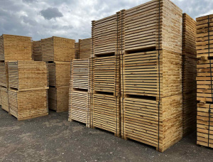 Palettenholz Waldkiefer 22 mm x 143 mm x 1.2 m