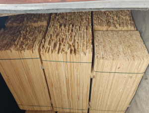 25 mm x 100 mm x 2700 mm KD S4S  Silver Birch Lumber
