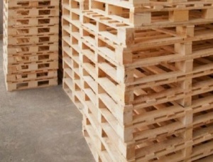 Siberian Pine Pallets 1200 mm x 800 mm x 145 mm