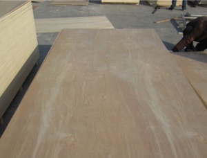 Poplar Plywood 5 mm x 50 mm x 1220 mm