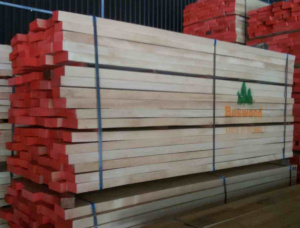 50 mm x 120 mm x 2100 mm KD S2S Pressure Treated Beech Lumber