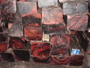 Ebony (Ebène) Sawlog 200 mm x 15 m