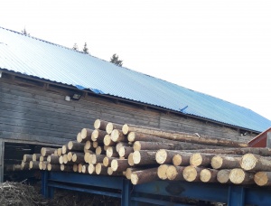 47 mm x 103 mm x 3050 mm GR S4S  Siberian spruce Lumber