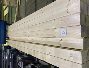 V-Groove Paneling Sibirische Kiefer KD 12 mm x 135 mm x 4000 mm