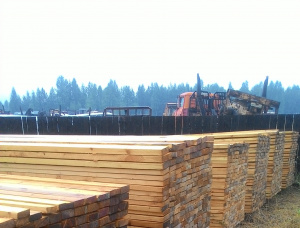 50 mm x 150 mm x 6000 mm AD R/S  Siberian Pine Lumber