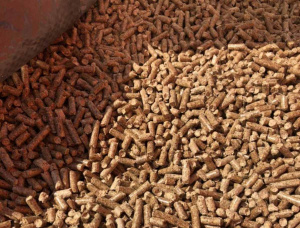 Holzpellets  Waldkiefer 6 mm x 35 mm