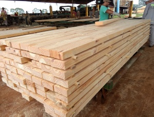 50 mm x 150 mm x 3660 mm KD R/S  Taeda Pine Lumber