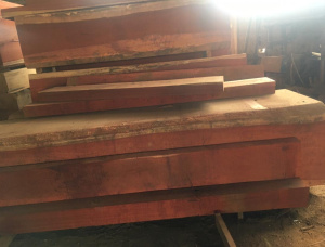 Padouk (Camwood, Barwood, Mbel, Corail) Square Logs 160 mm x 180 mm x 3000 m