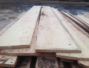 50 mm x 300 mm x 6000 mm Pine Flitch