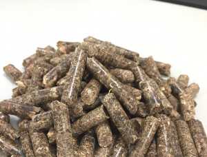 Holzpellets  Eukalyptus 6 mm x 30 mm