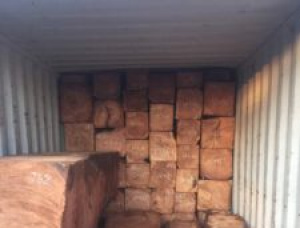 Doussie (Afzelia, Lingue, Apa, Chanfuta) Square Logs 28 in. x 28 in. x 8.5 ft.