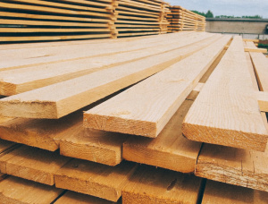 50 mm x 250 mm x 6000 mm GR R/S  Pine Lumber