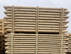 Spruce-Pine (S-P) Poles 100 mm x 6 m